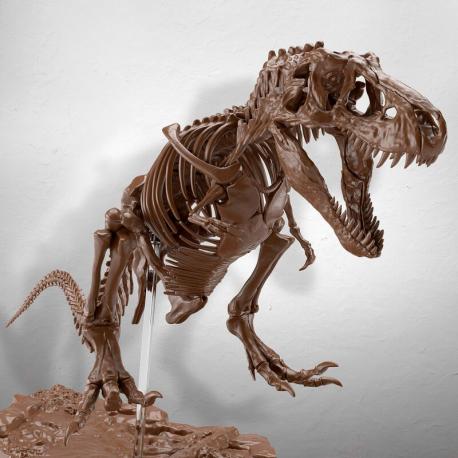 1/32 IMAGINARY SKELETON TYRANNOSAURUS - Imagen 13