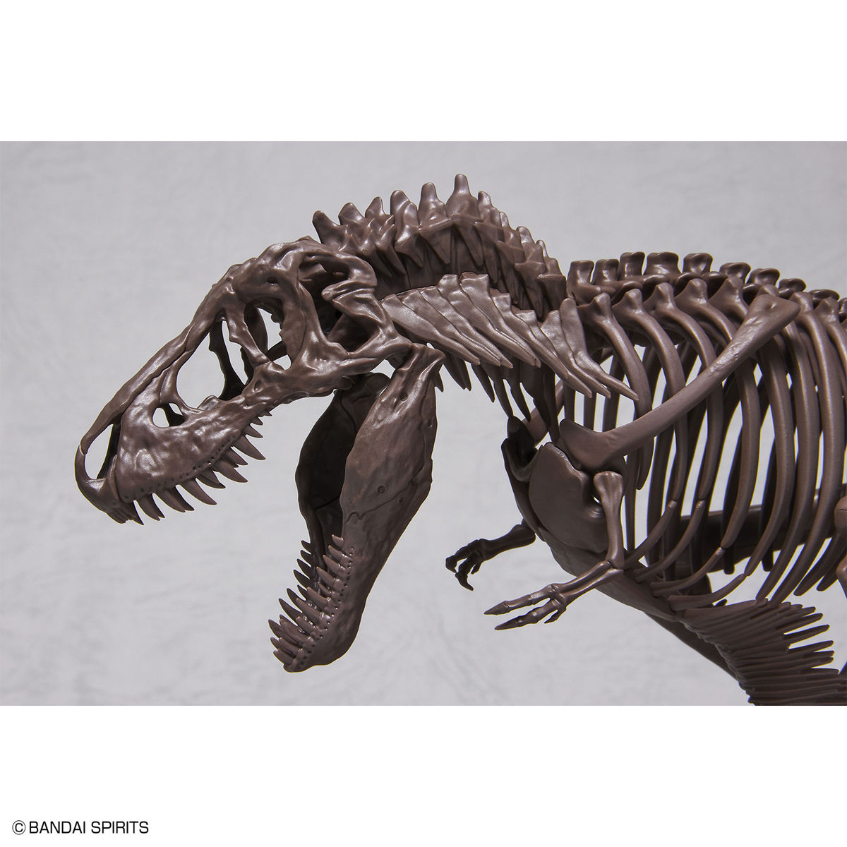 1/32 IMAGINARY SKELETON TYRANNOSAURUS - Imagen 3