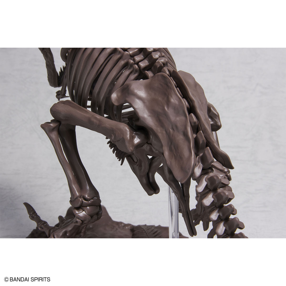 1/32 IMAGINARY SKELETON TYRANNOSAURUS - Imagen 4