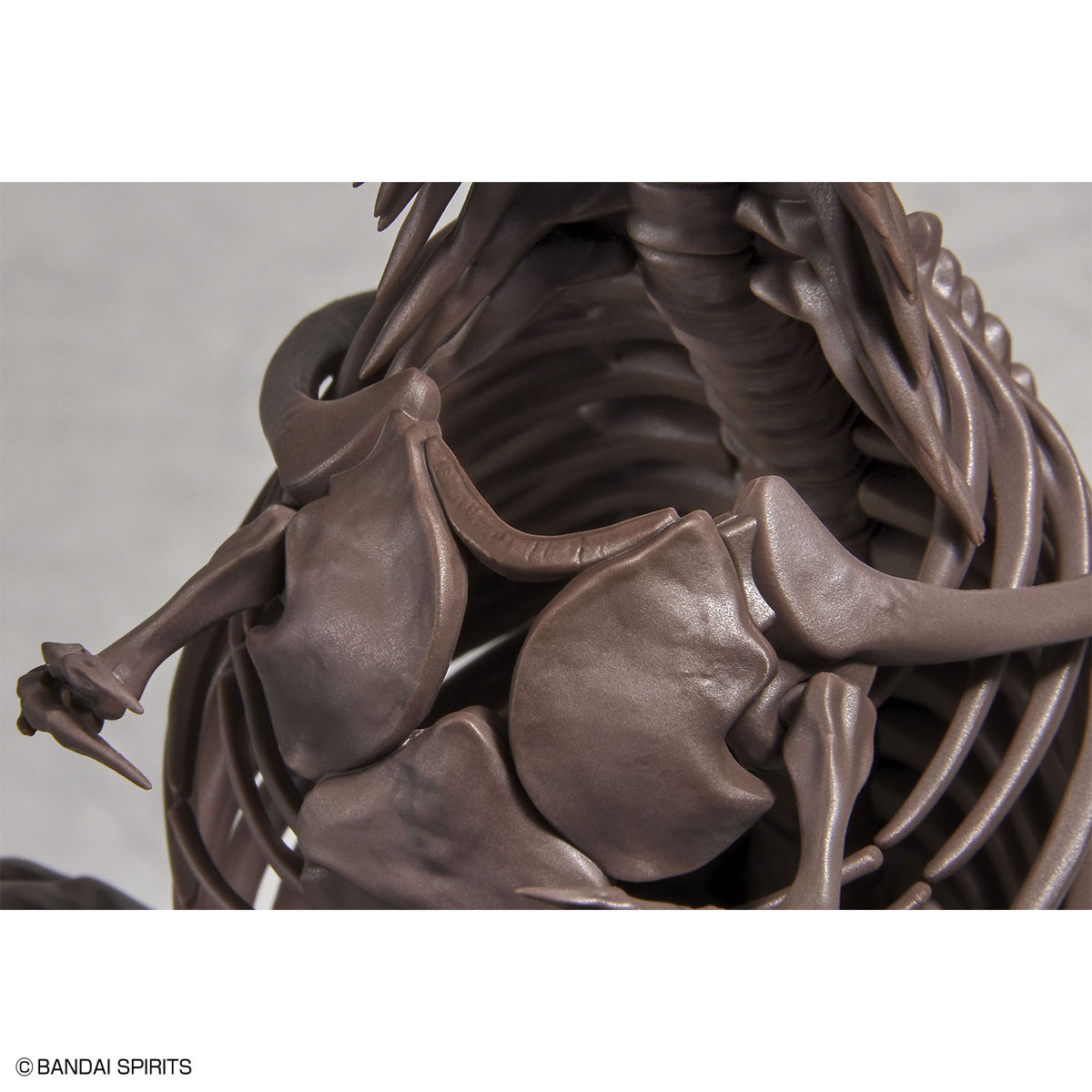1/32 IMAGINARY SKELETON TYRANNOSAURUS - Imagen 5