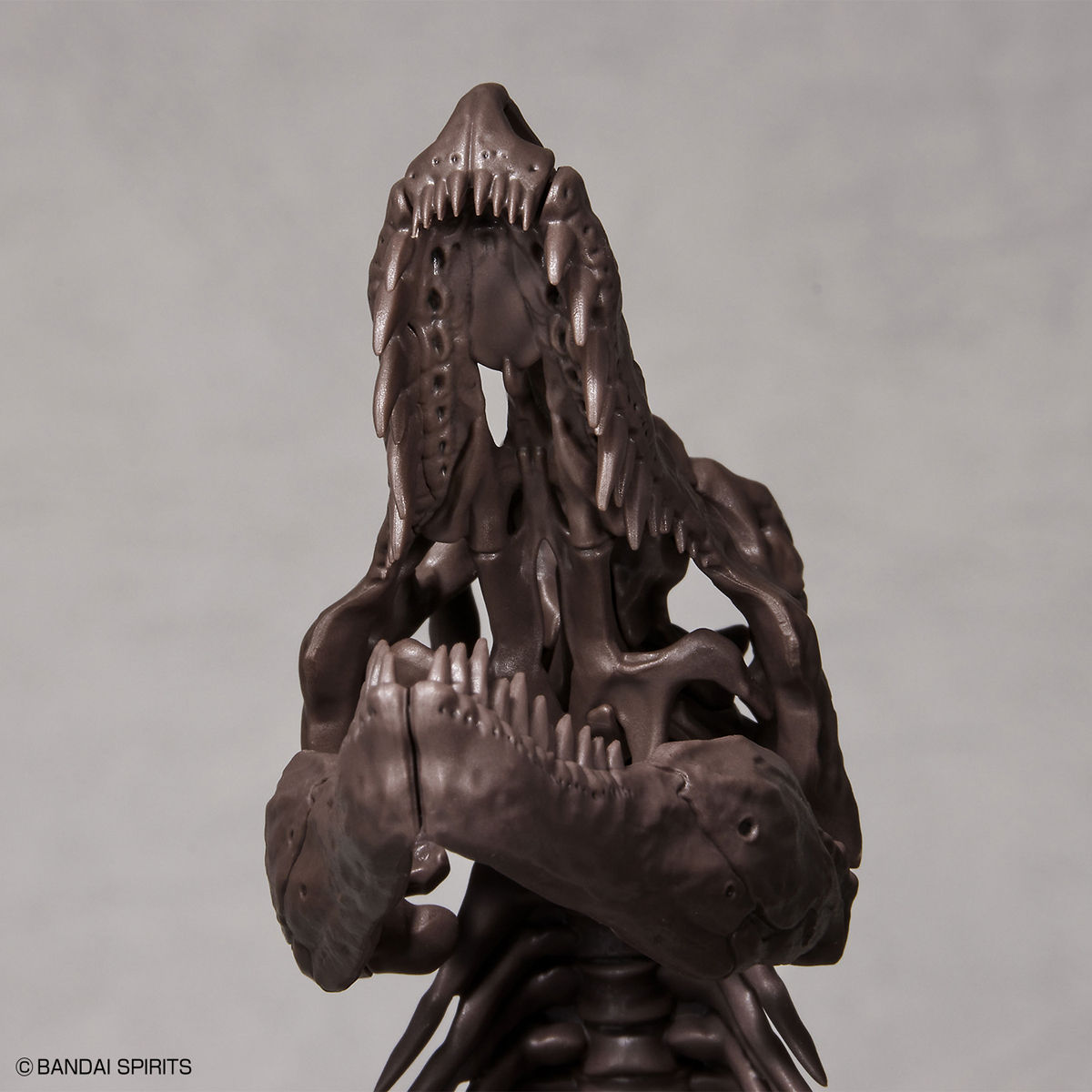 1/32 IMAGINARY SKELETON TYRANNOSAURUS - Imagen 6
