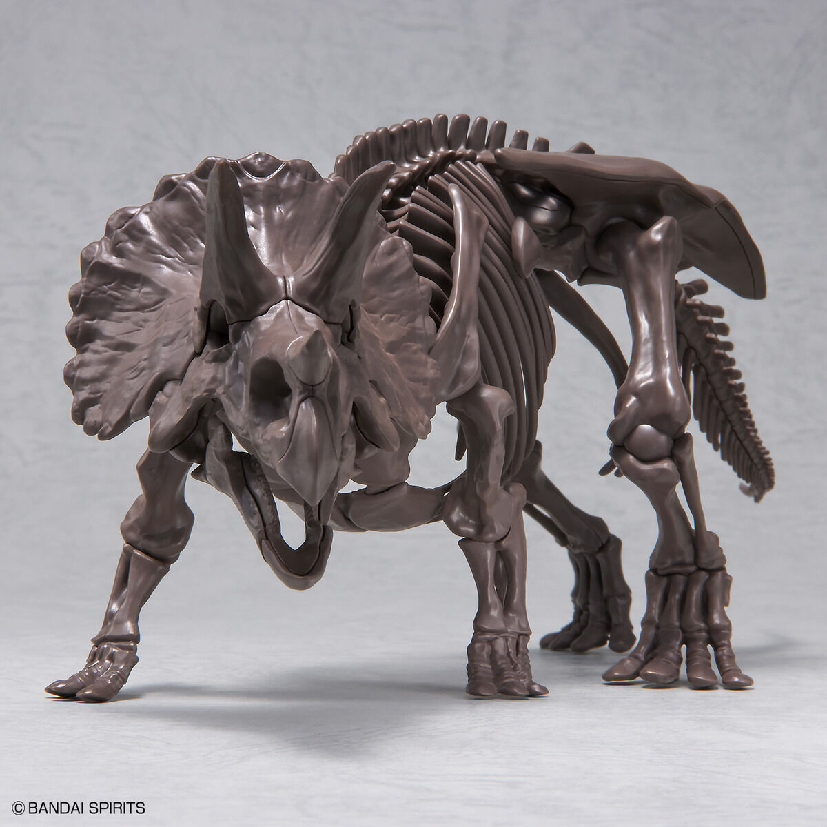 1/32 IMAGINARY SKELETON TRICERATOPS - Nº02 - Imagen 6