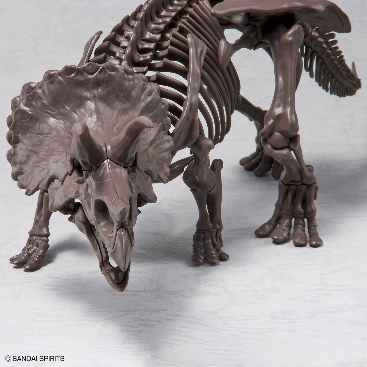 1/32 IMAGINARY SKELETON TRICERATOPS - Nº02 - Imagen 7