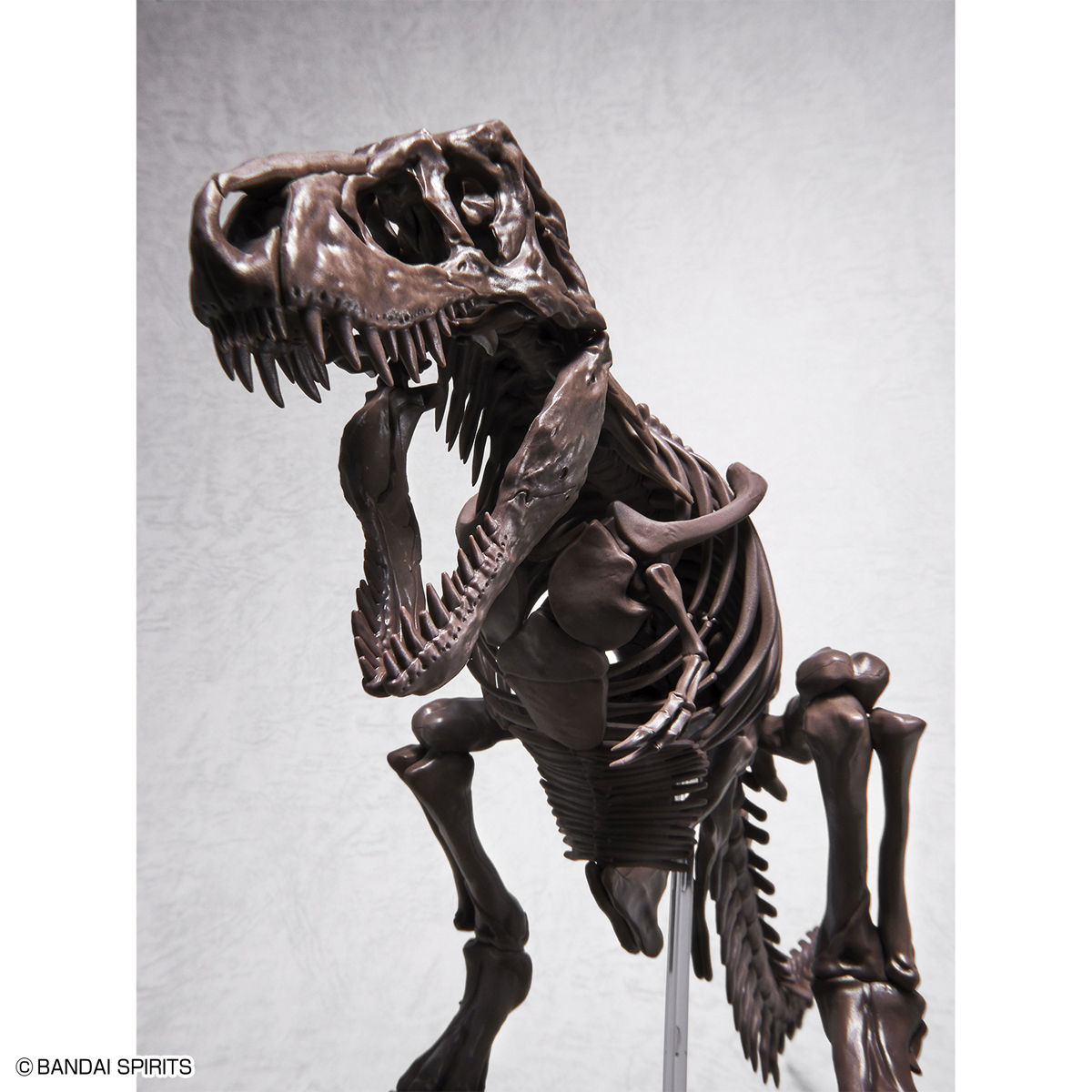1/32 IMAGINARY SKELETON TYRANNOSAURUS - Imagen 8