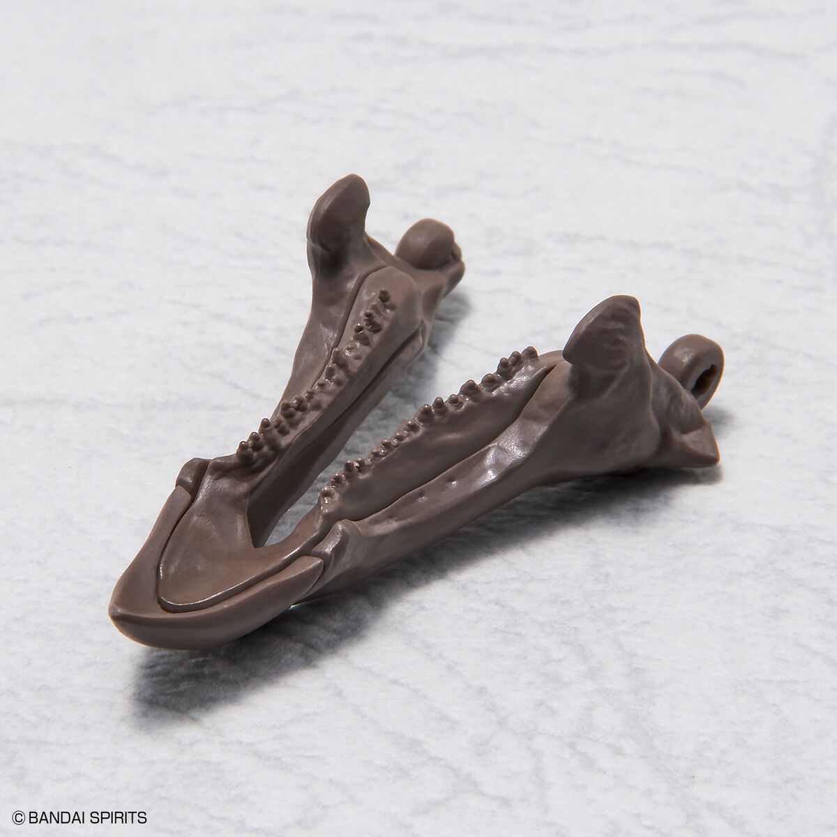1/32 IMAGINARY SKELETON TRICERATOPS - Nº02 - Imagen 8