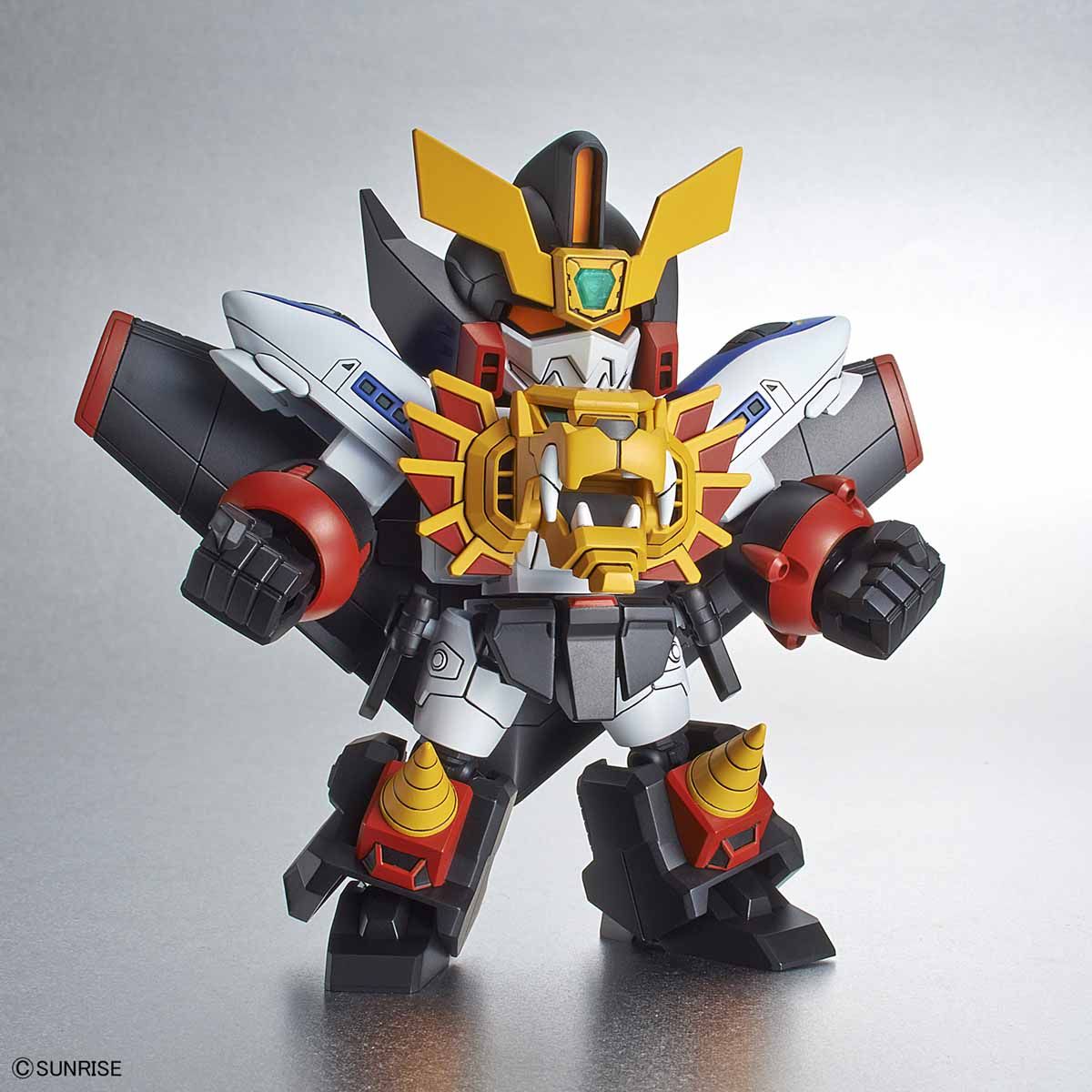 SDCS GAOGAIGAR - Imagen 10