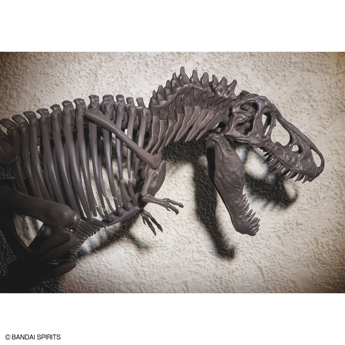 1/32 IMAGINARY SKELETON TYRANNOSAURUS - Imagen 9