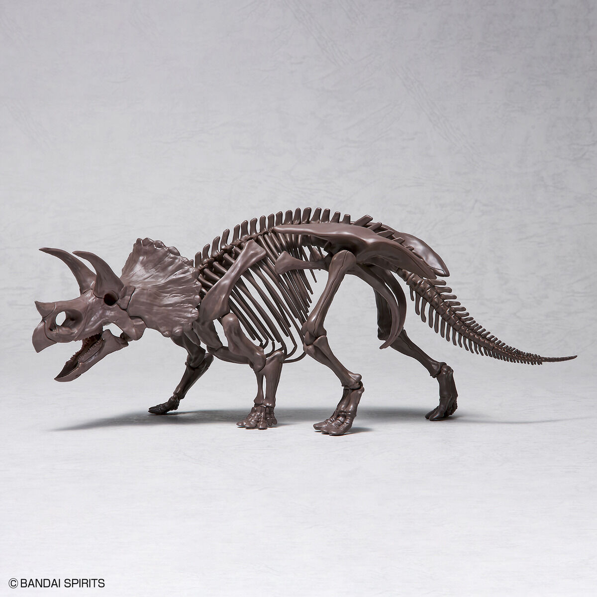 1/32 IMAGINARY SKELETON TRICERATOPS - Nº02 - Imagen 9