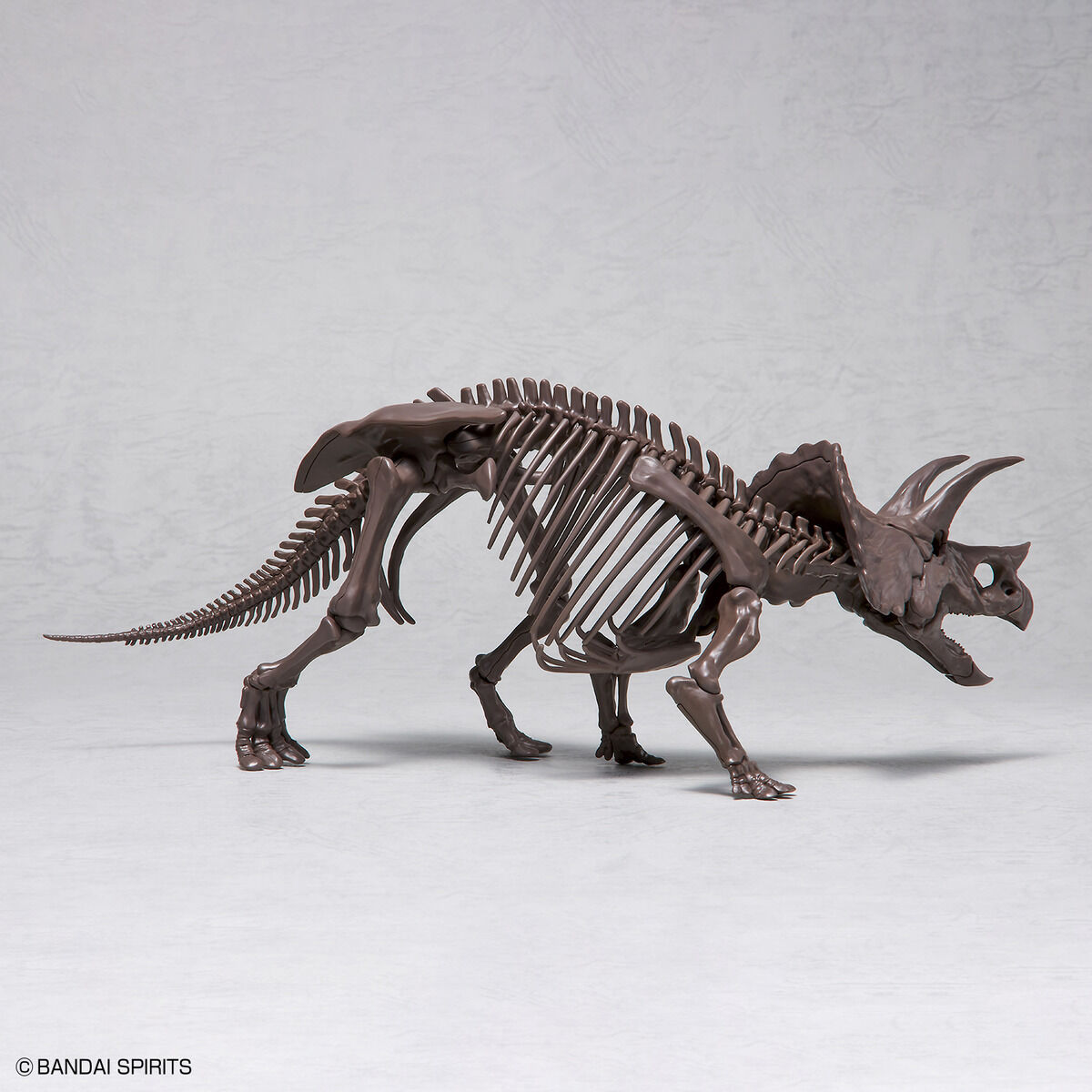 1/32 IMAGINARY SKELETON TRICERATOPS - Nº02 - Imagen 10