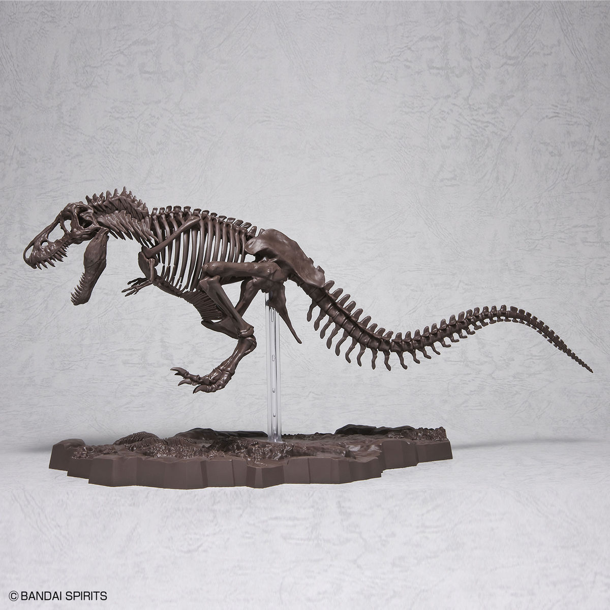 1/32 IMAGINARY SKELETON TYRANNOSAURUS - Imagen 11