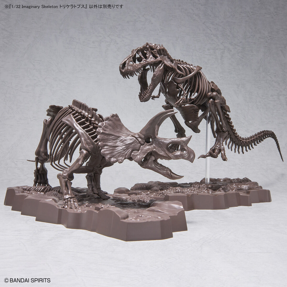 1/32 IMAGINARY SKELETON TRICERATOPS - Nº02 - Imagen 11