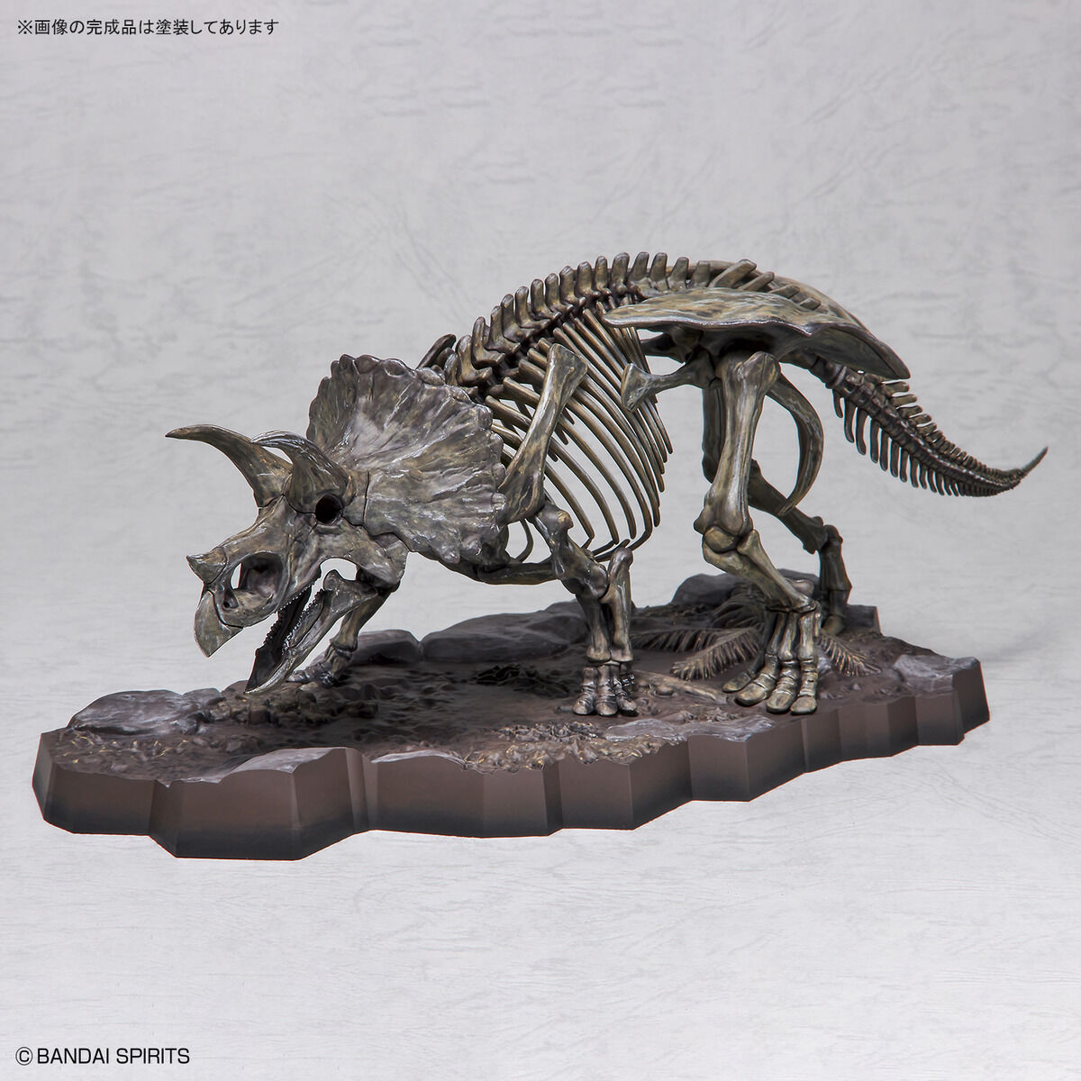 1/32 IMAGINARY SKELETON TRICERATOPS - Nº02 - Imagen 12