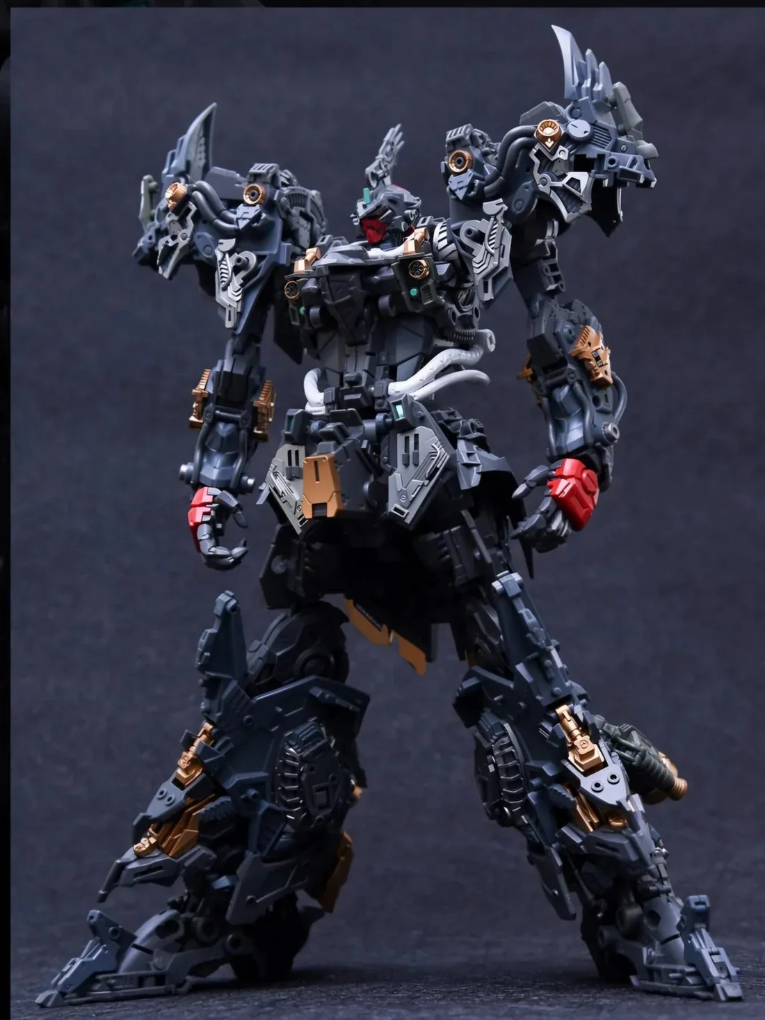 INFINITY NOVA RMD LIZARD 1/100 - Imagen 5