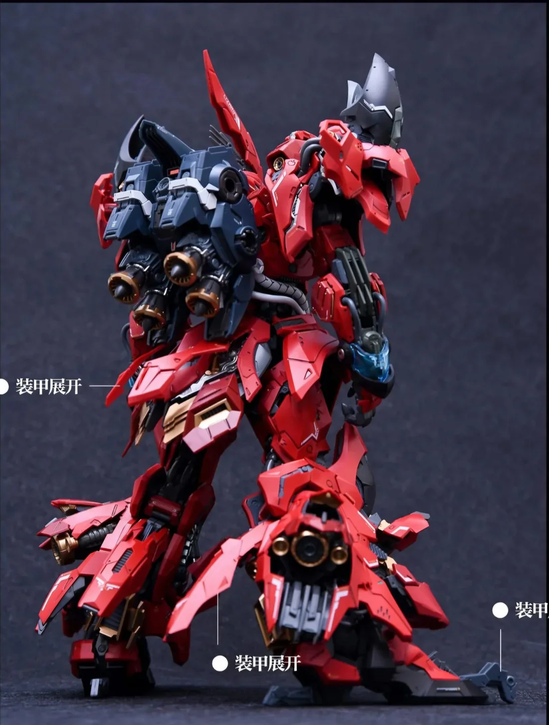 INFINITY NOVA RMD LIZARD 1/100 - Imagen 19