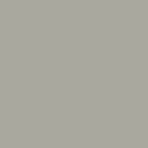 Model Air Gris Gaviota USN 71121 - Imagen 2