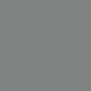 Model Air Gris Aggressor 71274 - Imagen 2