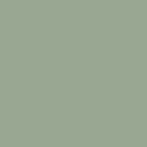 Model Air Sky Green 71321 - Imagen 2