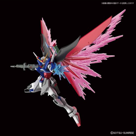 HGCE 1/144 ZGMF-X42S DESTINY GUNDAM - Nº 224 - Imagen 12