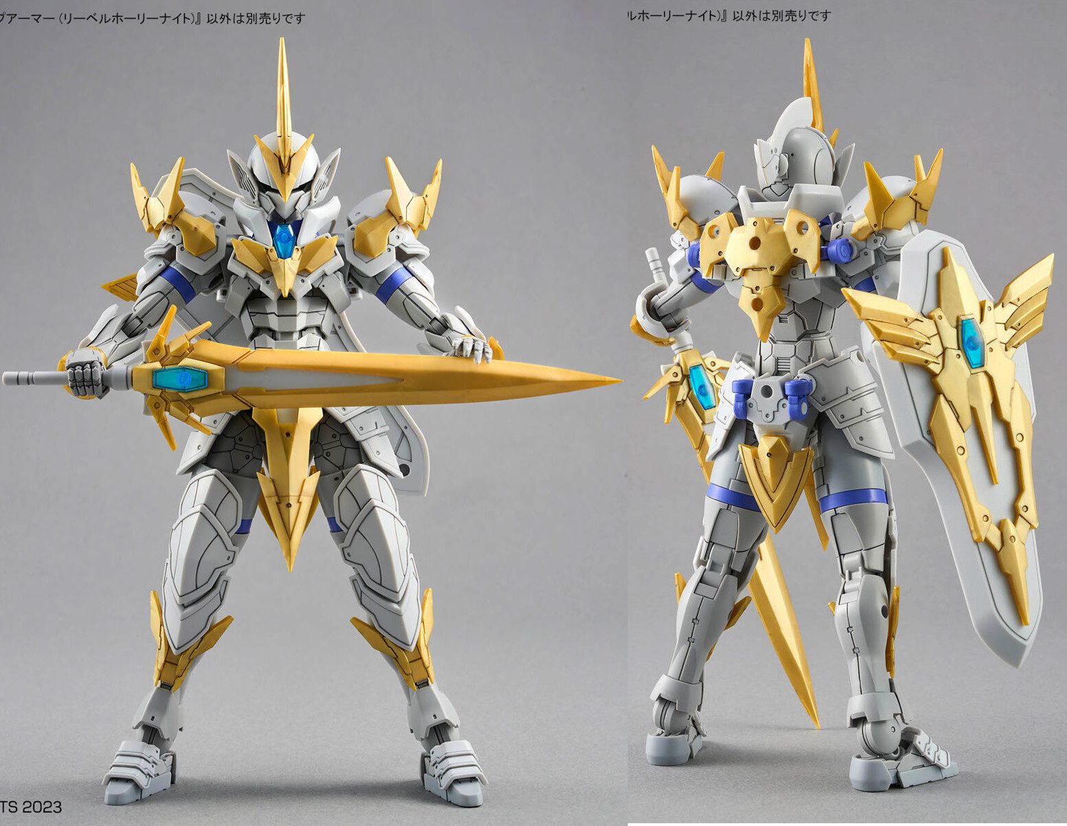 Producto a Rifar: PACK LIBER (30MF LIBER KNIGHT+ CLASS UP ARMOR LIBER HOLY KNIGHT + LIBER PALADIN + ITEM SHOP 1) - Imagen 9