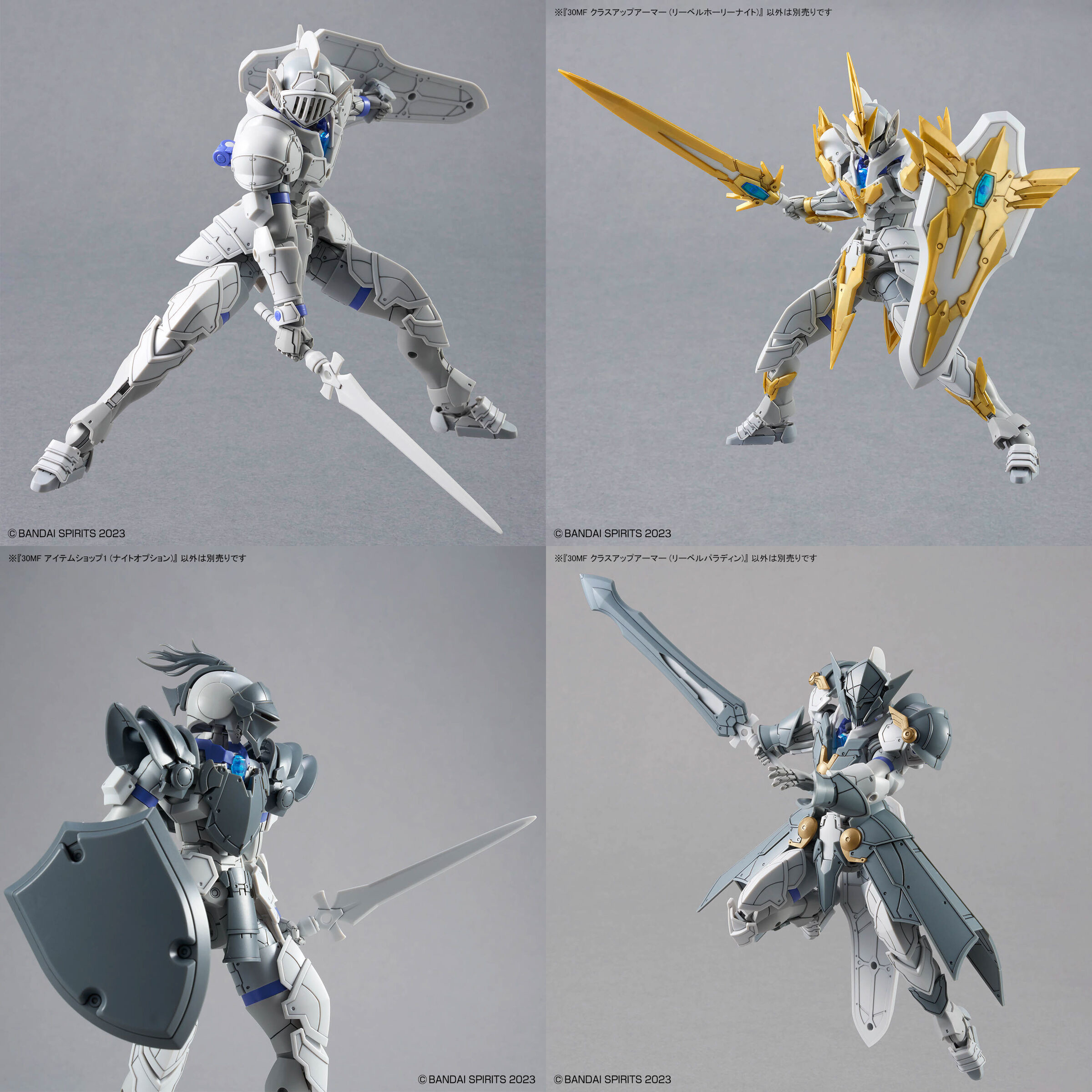 Producto a Rifar: PACK LIBER (30MF LIBER KNIGHT+ CLASS UP ARMOR LIBER HOLY KNIGHT + LIBER PALADIN + ITEM SHOP 1) - Imagen 6
