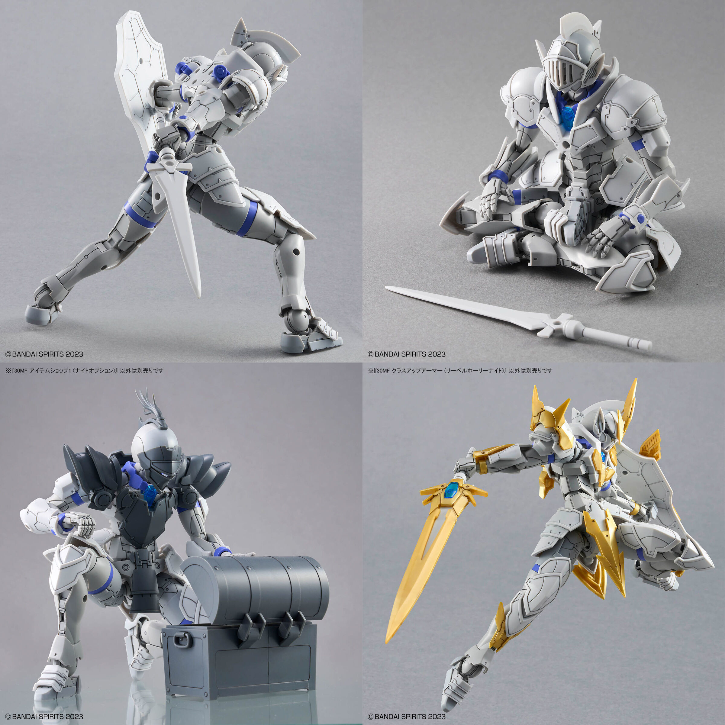 Producto a Rifar: PACK LIBER (30MF LIBER KNIGHT+ CLASS UP ARMOR LIBER HOLY KNIGHT + LIBER PALADIN + ITEM SHOP 1) - Imagen 5