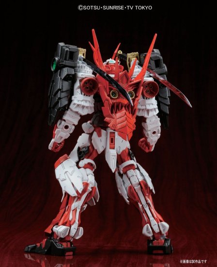 MG 1/100 SENGOKU ASTRAY GUNDAM - Nº 178 - Imagen 12