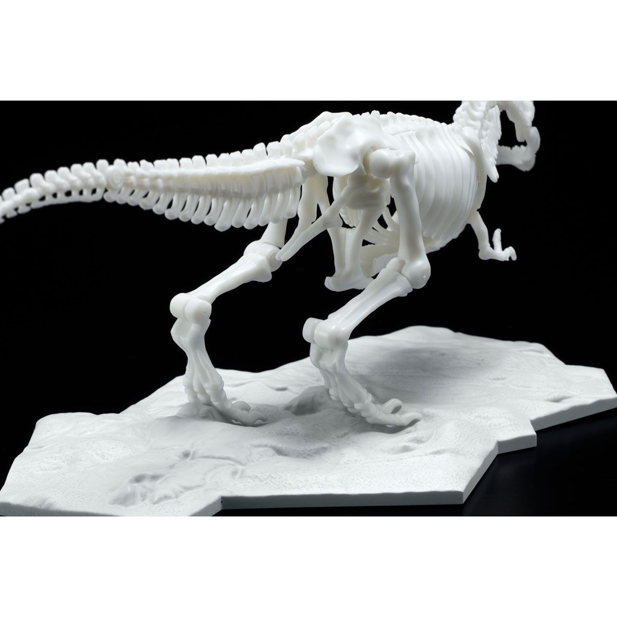 MODEL KIT LIMEX SKELETON TYRANNOSAURURS - Imagen 4