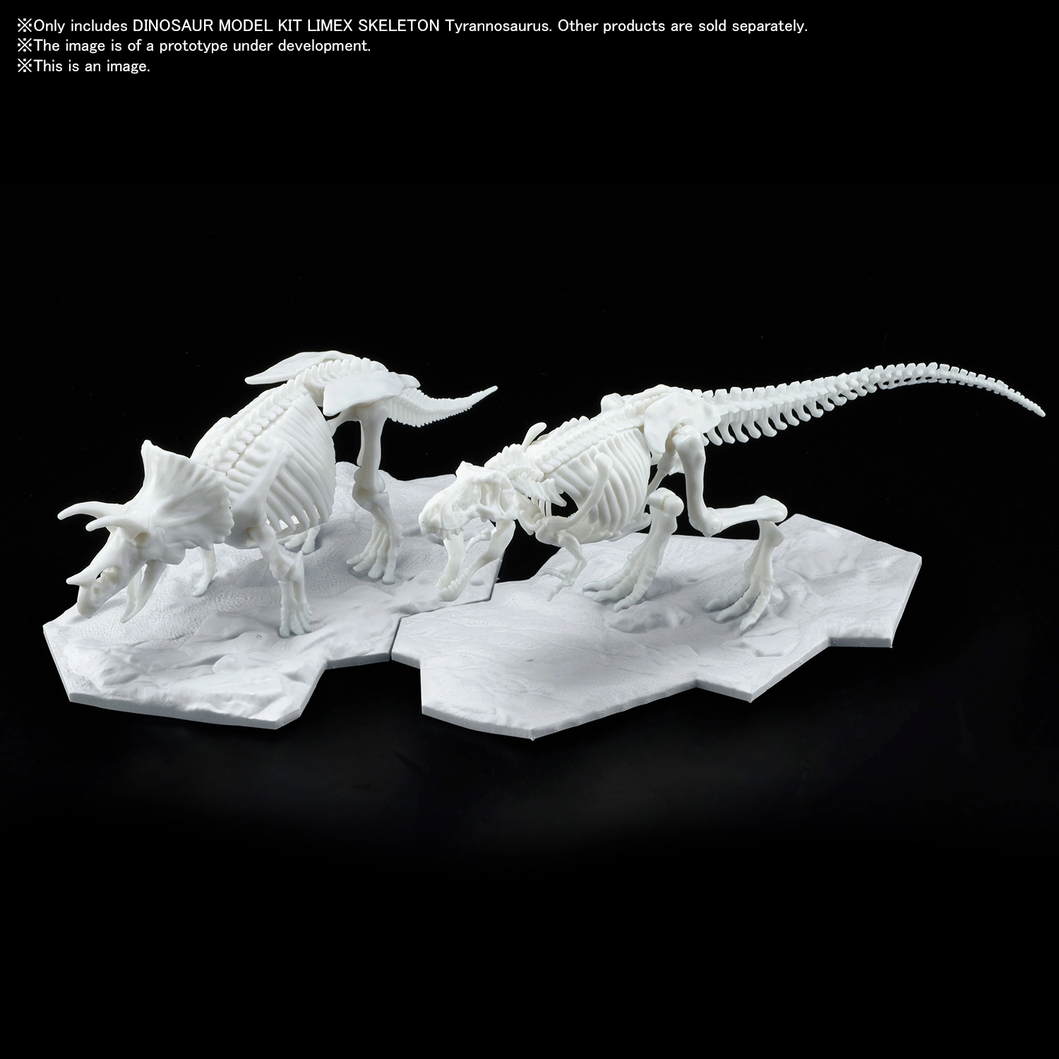 MODEL KIT LIMEX SKELETON TYRANNOSAURURS - Imagen 2