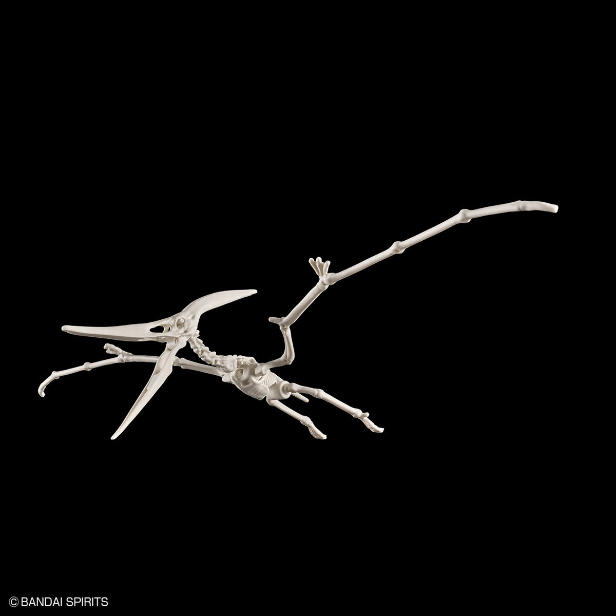 PLANNOSAURUS PTERANODON – Nº 07 - Imagen 11