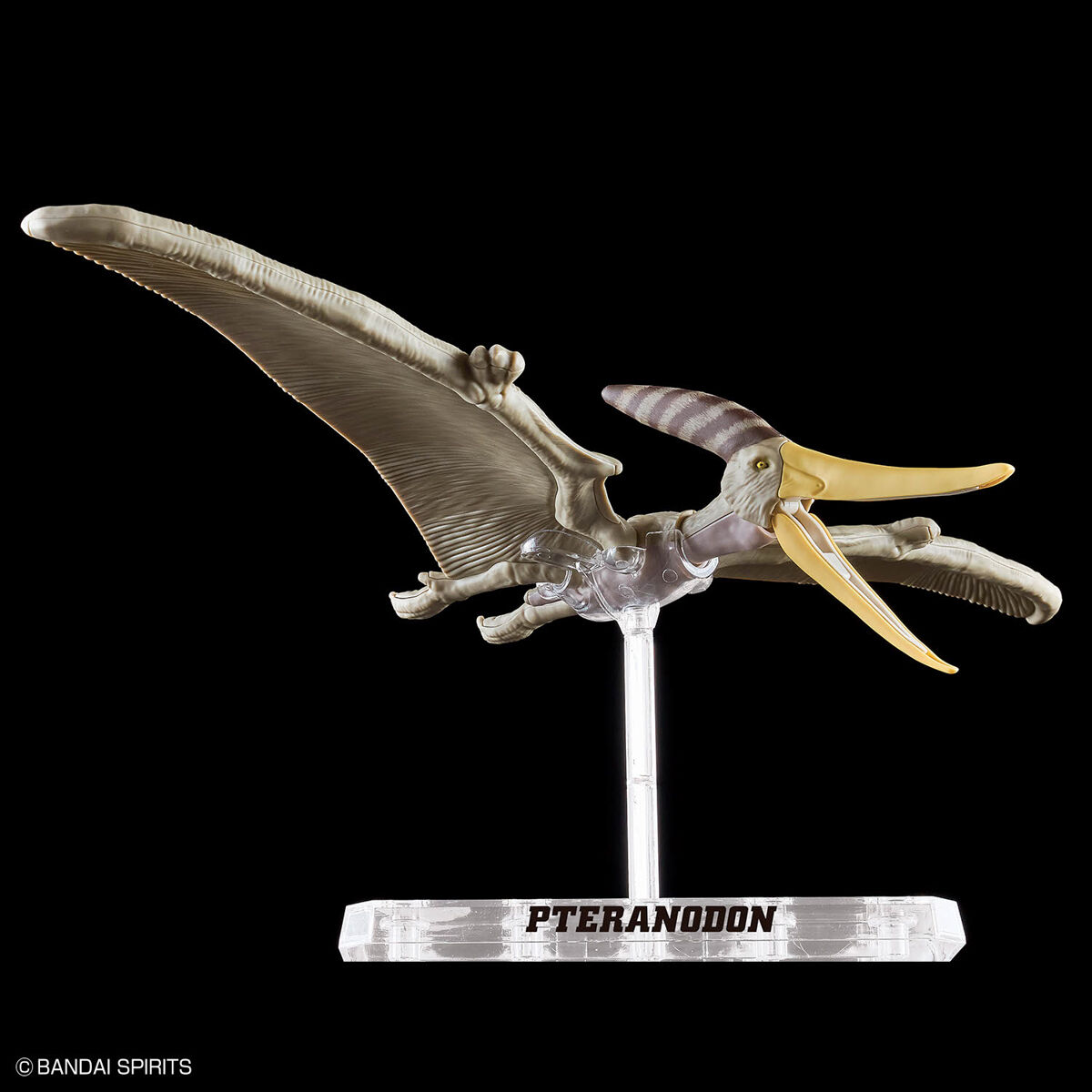 PLANNOSAURUS PTERANODON – Nº 07 - Imagen 8