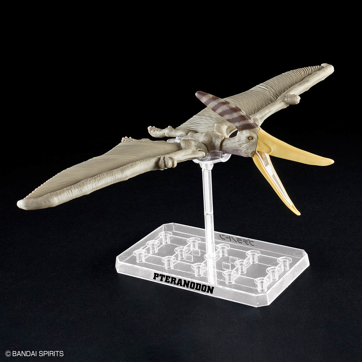 PLANNOSAURUS PTERANODON – Nº 07 - Imagen 9