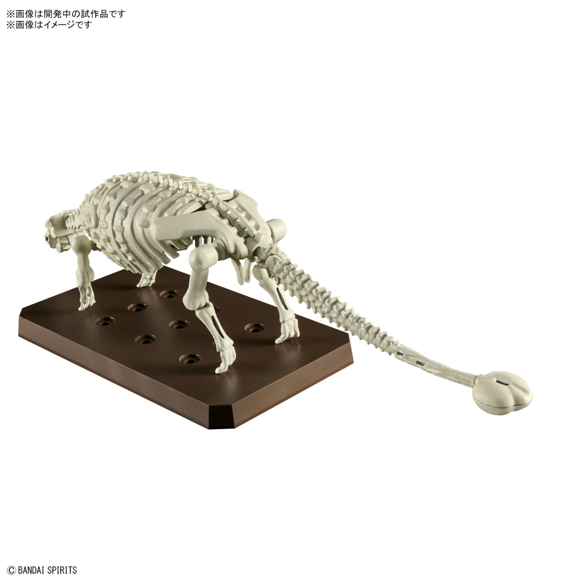 PLANNOSAURUS ANKYLOSAURUS - Nº 06 - Imagen 10