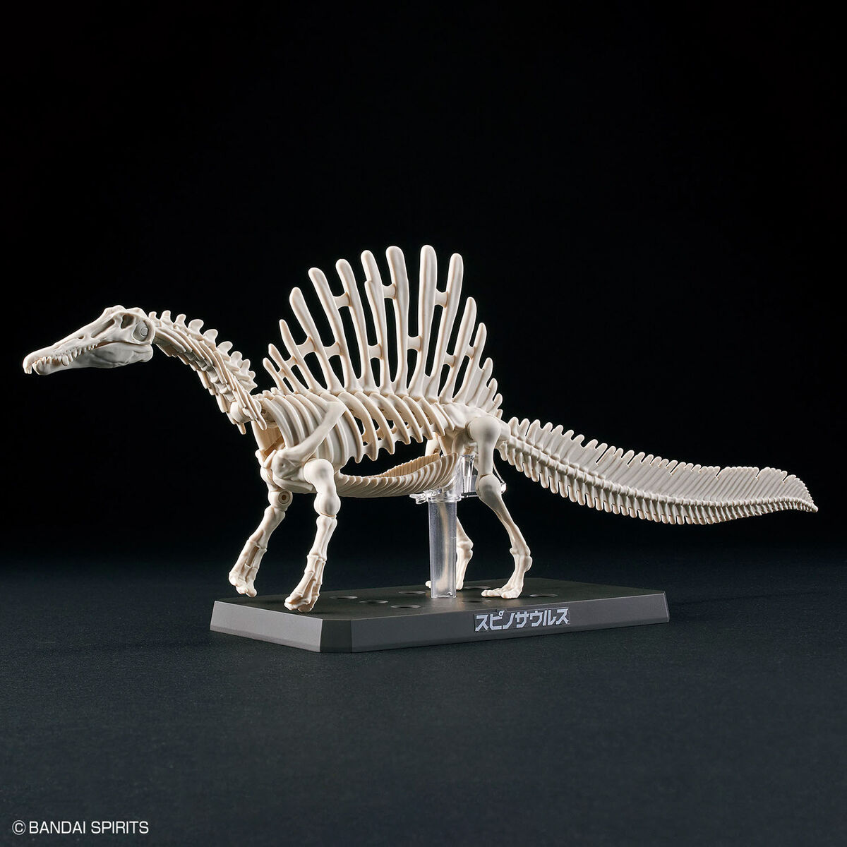 PLANNOSAURUS SPINOSAURUS - Nº 05 - Imagen 4