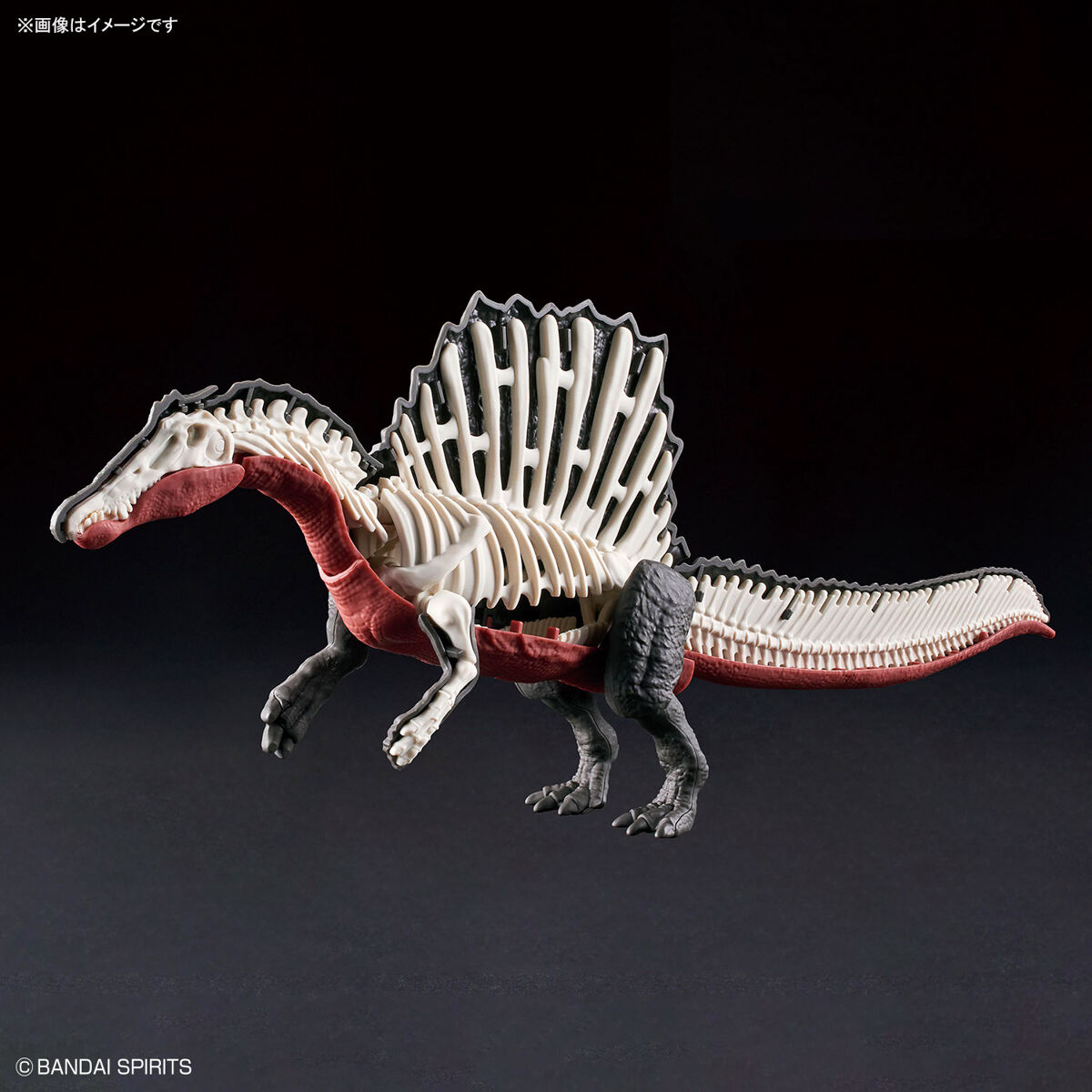 PLANNOSAURUS SPINOSAURUS - Nº 05 - Imagen 6