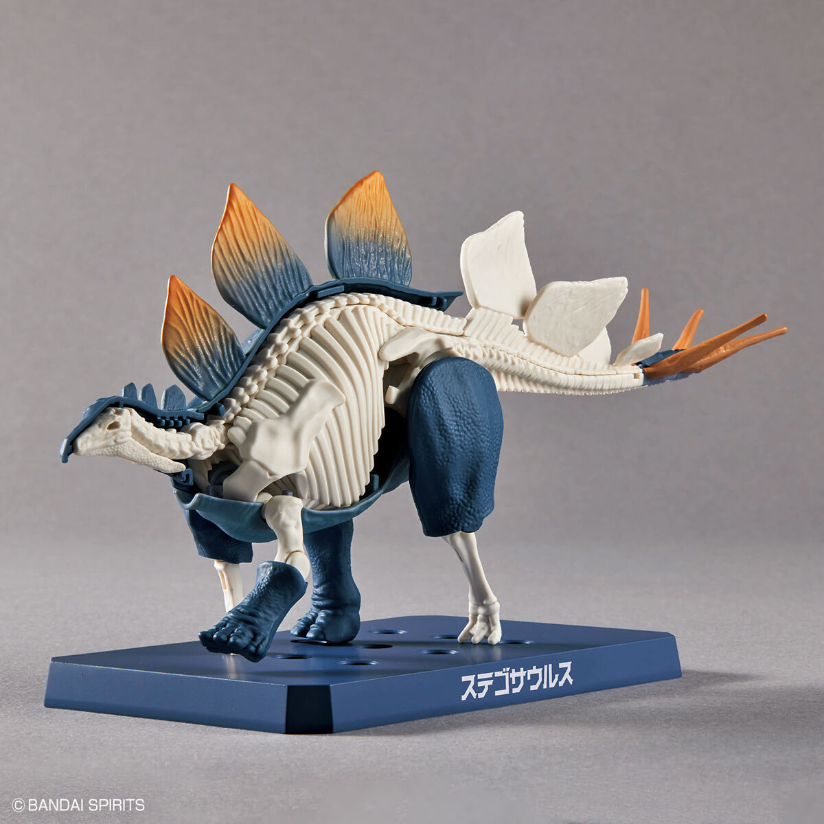 PLANNOSAURUS STEGOSAURUS - Nº 03 - Imagen 6