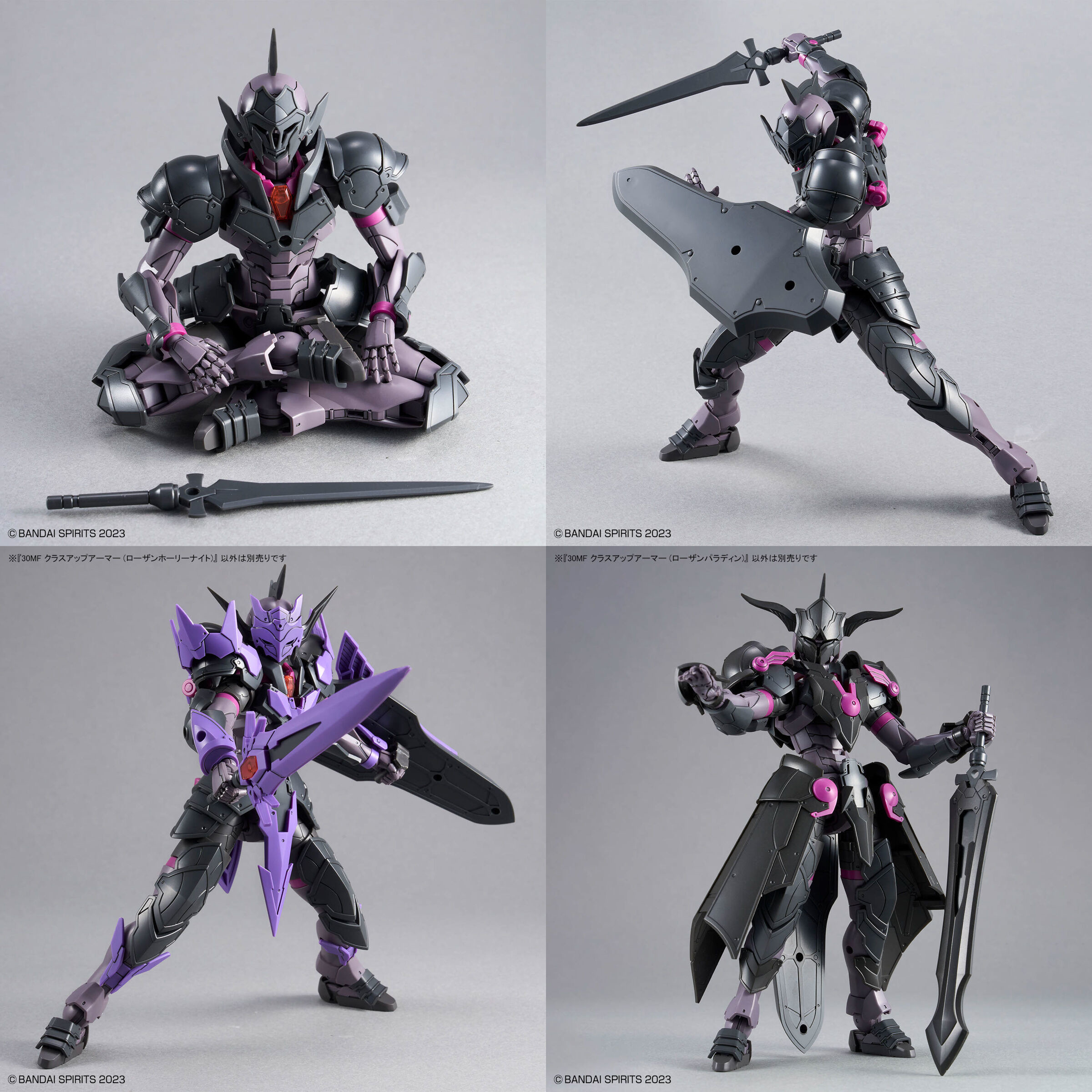 Producto a Rifar: Pack 30MF ROSAN (30MF Rosan Knight + Class up armor Rosan Holy Knight + Class up armor Rosan Paladin) - Imagen 7