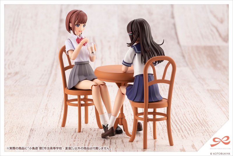 SOUSAI SHOJO TEIEN - MADOKA YUKI (TOUOU HIGH SCHOOL SUMMER CLOTHES) - Imagen 33