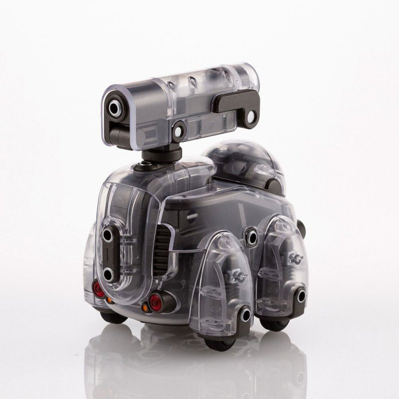TAMOTU SKELETON VER - Imagen 2