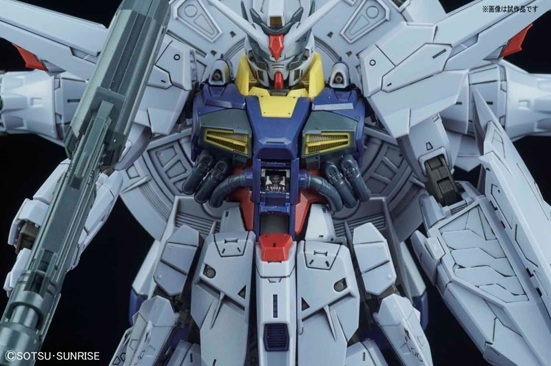 MG 1/100 ZGMF-X13A PROVIDENCE GUNDAM - Nº 196 - Imagen 7