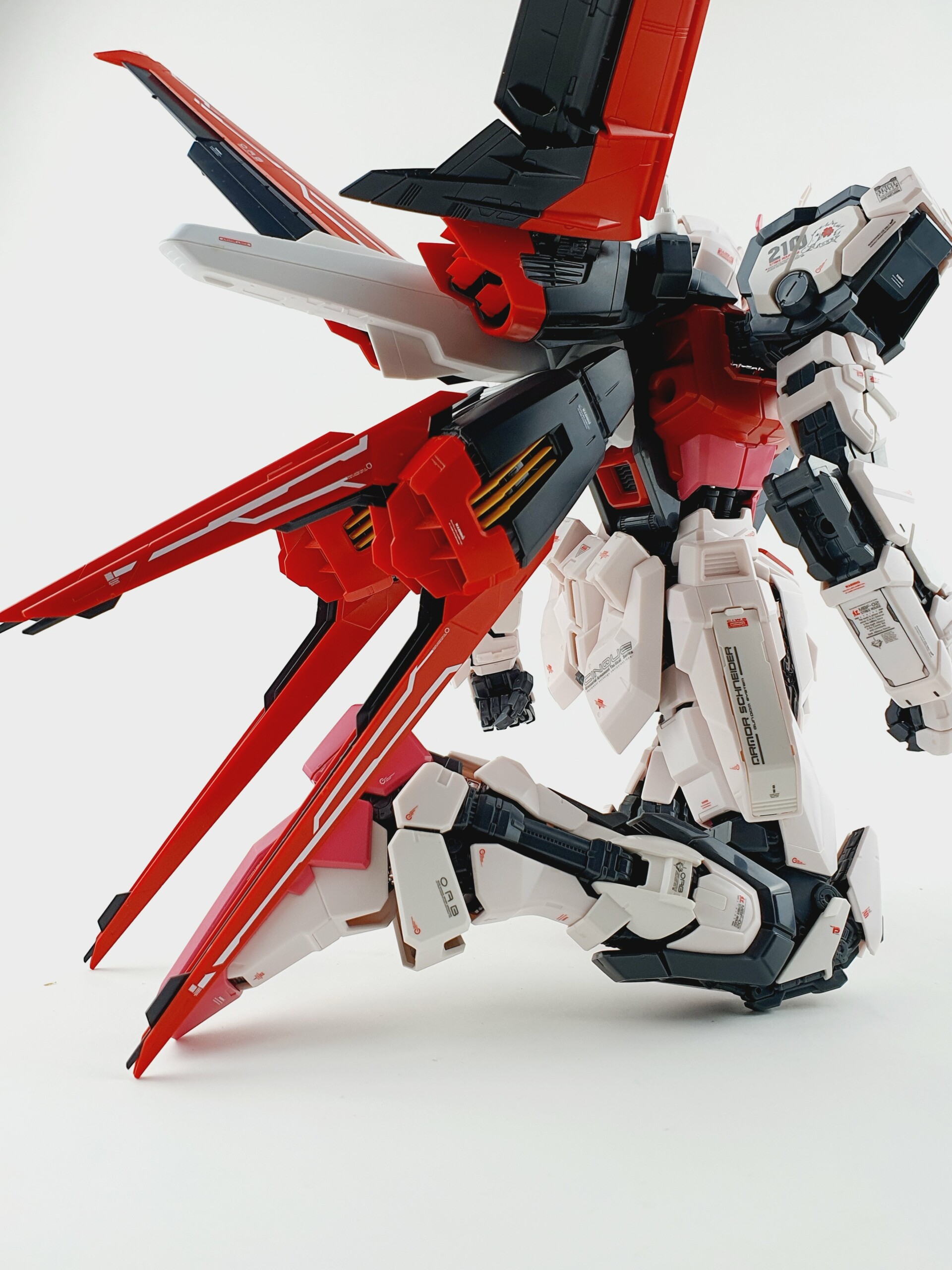 DELPI DECAL WATER DECAL PARA PG STRIKE ROUGE - Imagen 5
