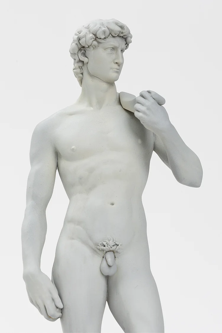 MICHELANGELO'S DAVID PLASTIC MODEL - Imagen 7