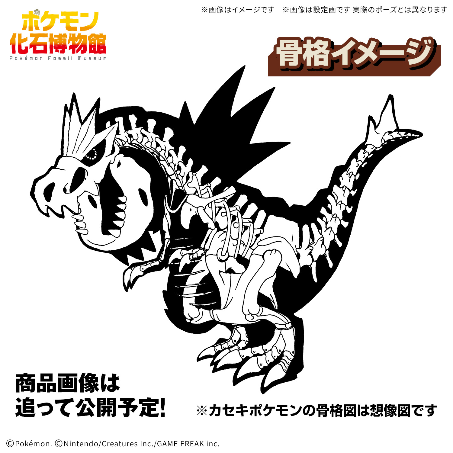 POKEMON PLAMO COLLECTION FOSSIL TYRANTRUM – Nº 02 - Imagen 11